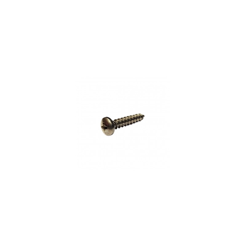 PIJA C/FIJADORA PHILLIPS INOX # 10 X 1"