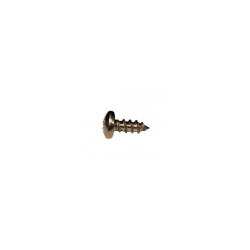PIJA C/FIJADORA PHILLIPS INOX # 10 X 1/2"