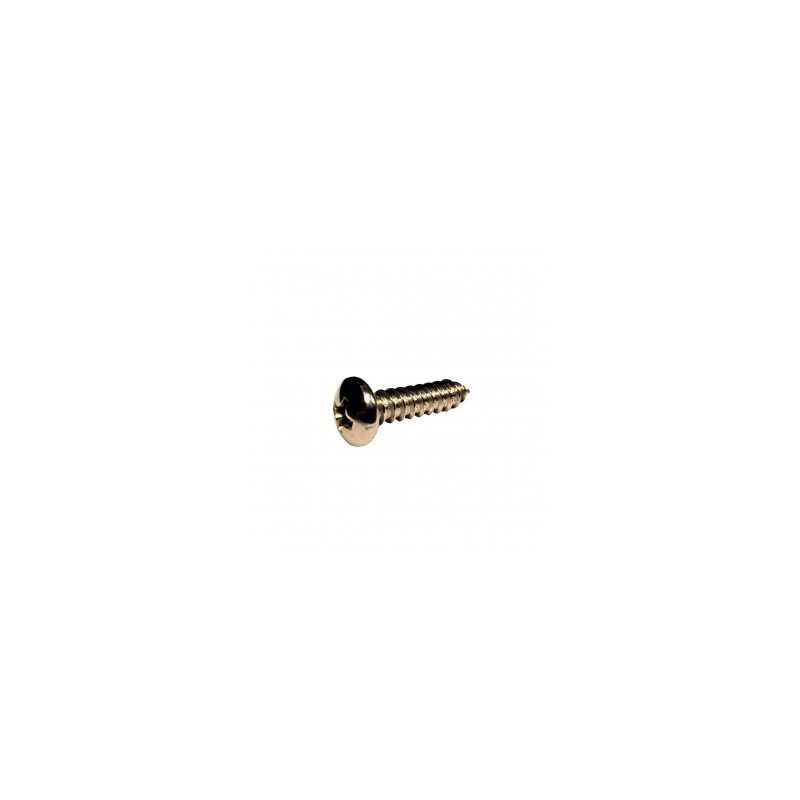 PIJA C/FIJADORA PHILLIPS INOX # 10 X 3/4"