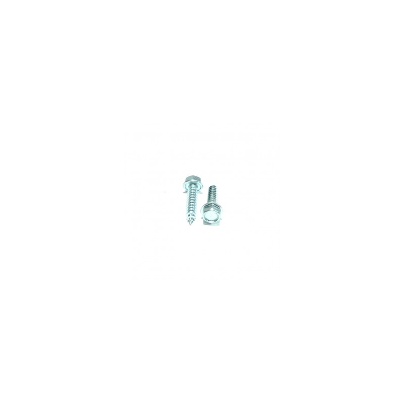 PIJA C/HEX. INOX   #8 X  1-1/4" C/A