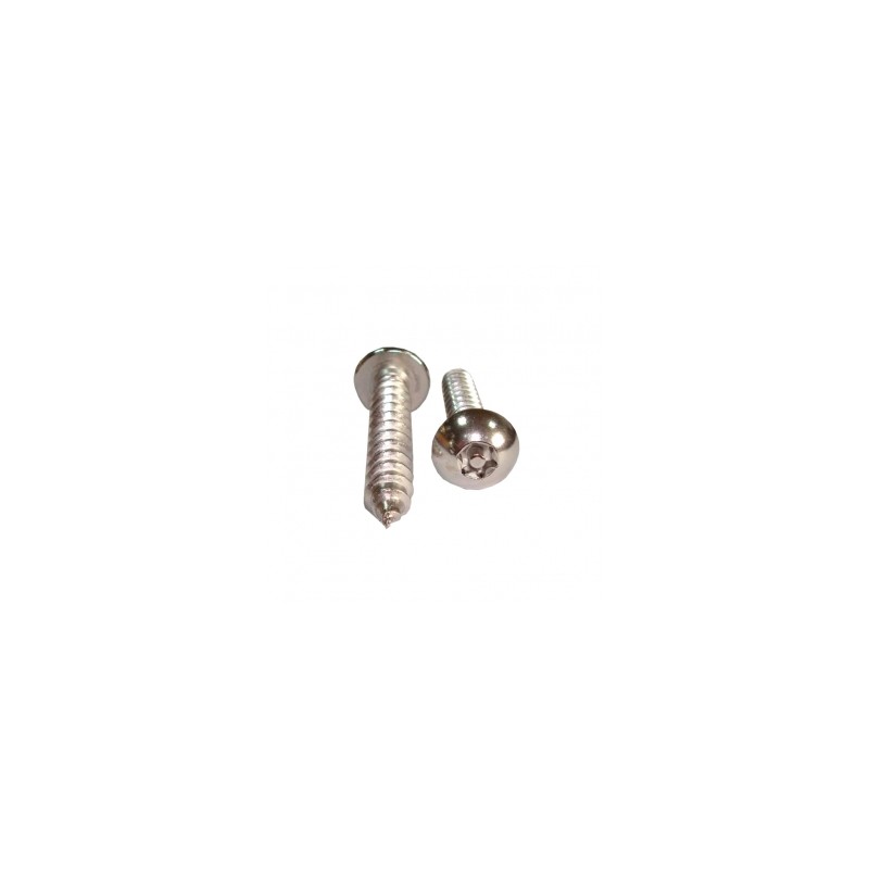 PIJA ACERO INOX. TORX ANTI-ROBO T-15 #8 X 3/4"