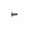 PIJA C/PLANA PHILLIPS INOX # 8 X 1/2"