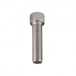 TOR SOCKET ALLEN INOXIDABLE  3/8-16 X 1/2"