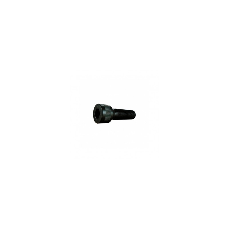 TOR SOCKET ALLEN MM  8 X  25 MM