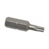 INSERTO HANSON P/DESARMADOR TORX 1" T-6 (92306)